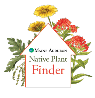 Plant Finder Logo